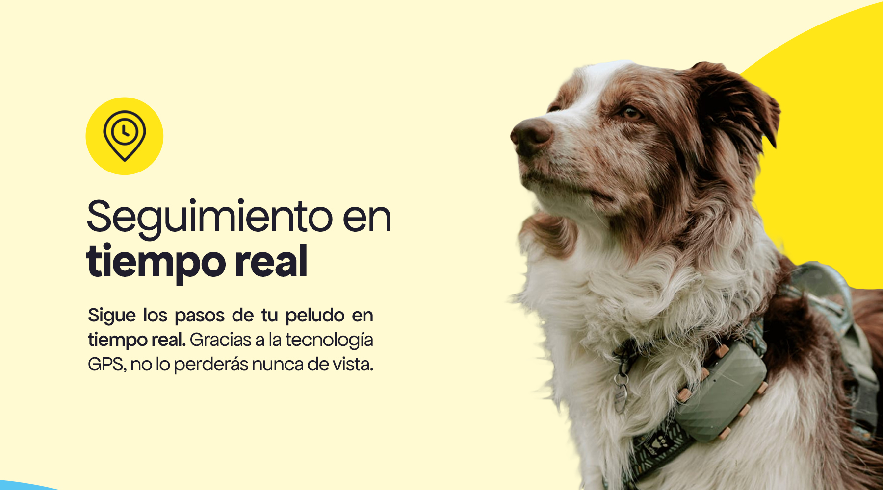 Seguimiento en tiempo real
