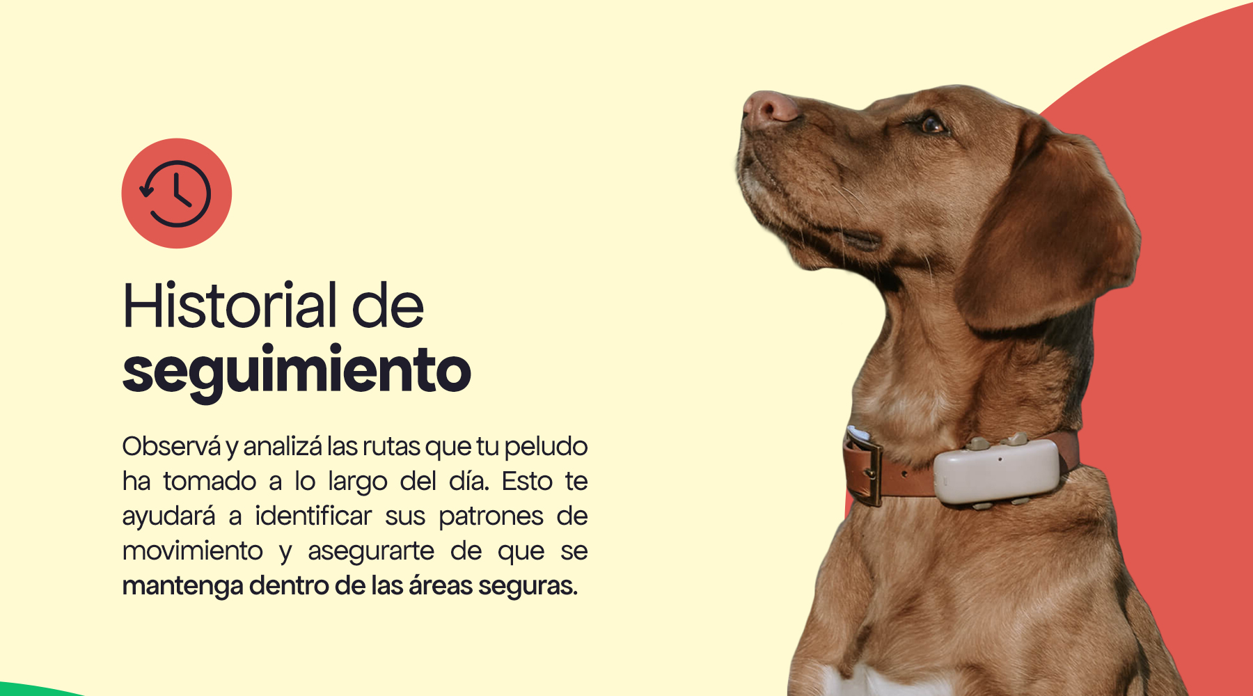 Historial de seguimiento
